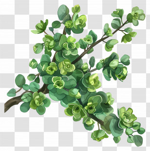Green Flowers - Green Plant Branch Transparent PNG