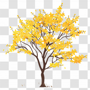 Forsythia - Yellow Flowering Tree Illustration Transparent PNG