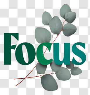 Focus - Focus Logo With Eucalyptus Transparent PNG