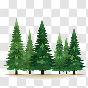 Christmas Tree - Pine Tree Forest Illustration Transparent PNG