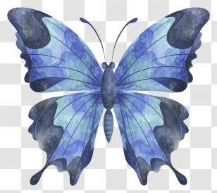 Blue Butterfly - Blue Watercolor Butterfly Transparent PNG