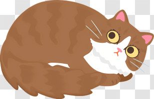 Brown And White Cat - Brown Curled-up Cat Drawing Transparent PNG