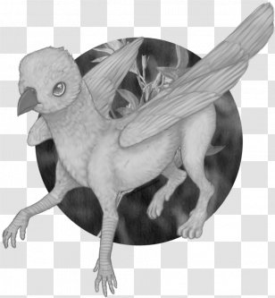 Beak Bird Of Prey Feather Legendary Creature - Wing - You're Great Transparent PNG