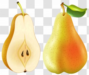 Fruit Amygdaloideae Asian Pear Clip Art - Rose Family - Crisp Transparent PNG