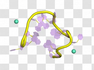 Protein Subunit Enzyme Molecule Active Site - Heart - Cartoon Transparent PNG