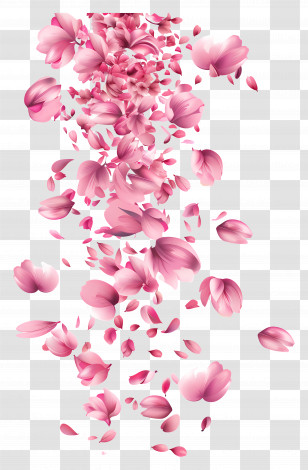 Falling Flowers - Pink Petals Falling Gracefully Transparent PNG