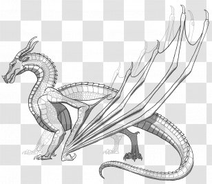 Line Art Wings Of Fire Drawing Dragon - Black And White - Gravel ...