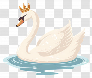 White Swan - Crowned Swan On Water Transparent PNG