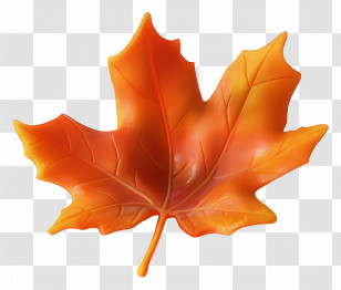 Autumn Leaf - Vibrant Orange Maple Leaf Transparent PNG