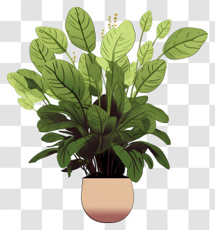 Potted Plant - Potted Plant With Light Green Leaves Transparent PNG