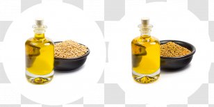 Seed Oil Mahua Rapeseed Mustard - Brassica Juncea Transparent PNG