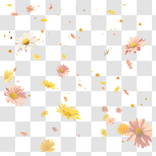 Flying Flowers - Daisy Flower Petals Scattered Art Transparent PNG