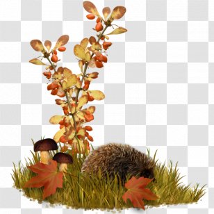 Floral Design Flower Leaf Digital Image - De Transparent PNG