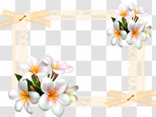 Flower Floral Design White Clip Art - Plant Transparent PNG