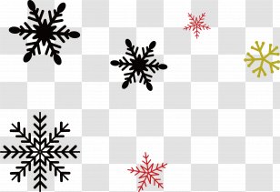Snowflake Christmas Euclidean Vector - Symmetry - New Year Material Different Snowflakes Transparent PNG
