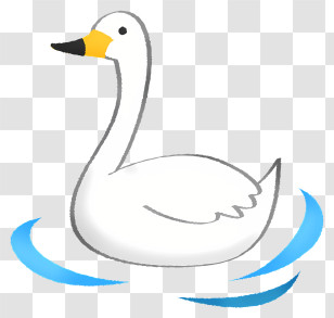 Icon - Cute White Swan Floating On Water Transparent PNG