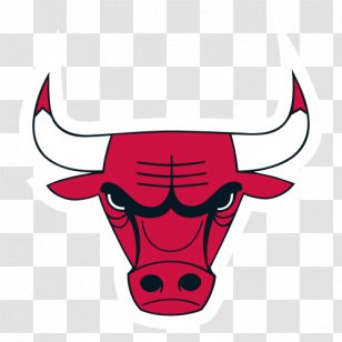 Chicago Bulls College Prep PNG Images, Transparent Chicago Bulls ...