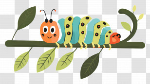 Caterpillar - Cute Caterpillar On Branch Transparent PNG