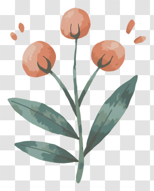 Cartoon - Simple Flower Plant Cartoon Illustration Transparent PNG