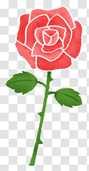 Icon - Elegant Red Rose Illustration Transparent PNG