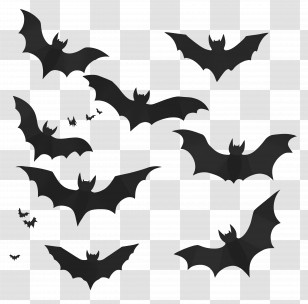 Halloween Bats - Black Bat Silhouettes For Halloween Decor Transparent PNG