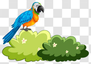 Bird Parrot - Colorful Parrot On Bush Transparent PNG