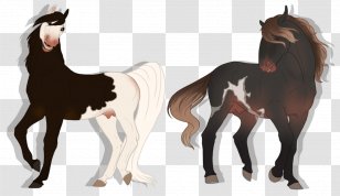 Mustang Foal Stallion Colt Mare - Tail Transparent PNG