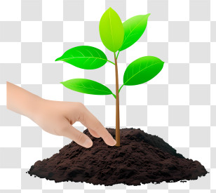 Planting Tree Icon - Young Plant Sprouting In Soil Transparent PNG