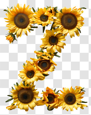 Floral Letter Z - Letter Z Made With Sunflower Arrangement Transparent PNG