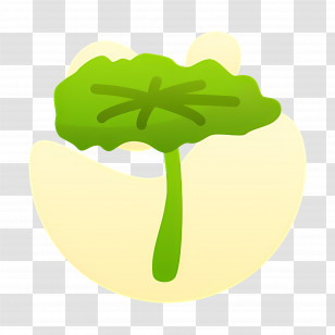 Lotus Leaf - Green Lotus Leaf Icon Illustration Transparent PNG
