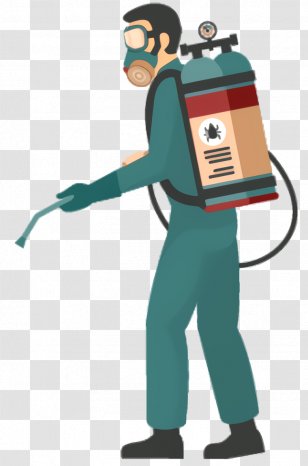 Cockroach Cartoon - Blattella Transparent PNG