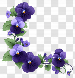 Viola Border - Purple Floral Decoration Transparent PNG