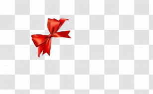 Download - Computer - Bow Transparent PNG