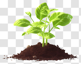 A Sprout With Leaves - Green Seedling Growing In Soil Design Transparent PNG