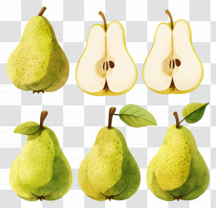 Watercolor Pear Fruit - Juicy Green Pears Illustration Transparent PNG
