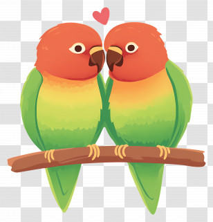 Love Birds - Pair Of Lovebirds On Branch With Heart Transparent PNG