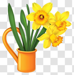 Daffodil - Yellow Daffodils In Bright Orange Vase Transparent PNG