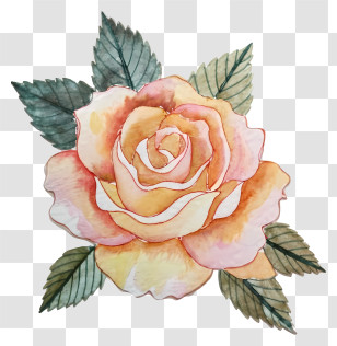 Gladiolus - Watercolor Illustration Of A Rose Flower Transparent PNG