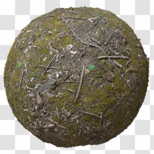 Lucera Numismatics Coin Roman Currency Republican - Negrini Raffaele Studio Numismatico Transparent PNG