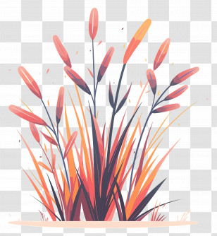 Reeds - Cattails In Nature Transparent PNG