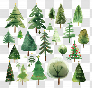 Christmas Tree - Variety Of Watercolor Christmas Trees Transparent PNG