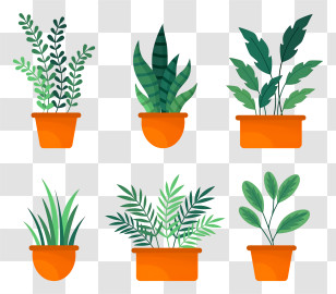 Plant Pots - Collection Of Potted Plants Illustration Transparent PNG