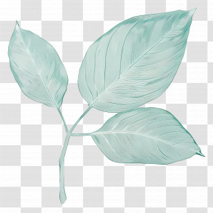 Leaf - Watercolor Light Green Leaves Illustration Transparent PNG