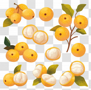 Longan Fruit - Yellow Tropical Fruits And Branches Transparent PNG