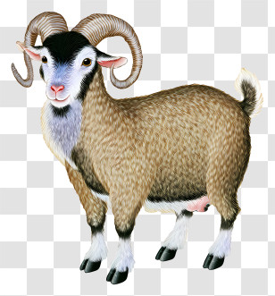 Zodiac Chinese - Brown Horned Goat Illustration Transparent PNG