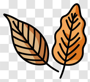Leaf - Cartoon Autumn Leaves Illustration Transparent PNG