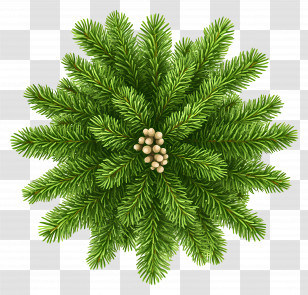 Tree Top View - Green Pine Wreath Transparent PNG