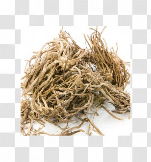 Vetivergrass Essential Oil Perfume - Vetiver Transparent PNG