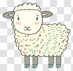 Sheep - Cute Cartoon Sheep Illustration Transparent PNG