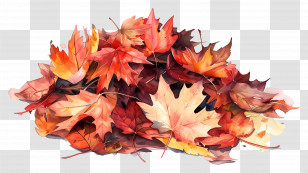 Pile Of Leaves - Illustration Of Colorful Autumn Leaves Transparent PNG